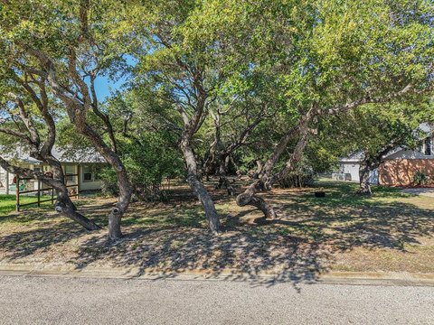 Residential Lot in Coastal Lamar