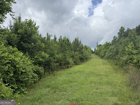 6.32 Acre Lot in Jackson