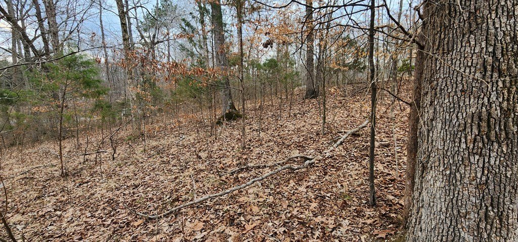 Picture 16