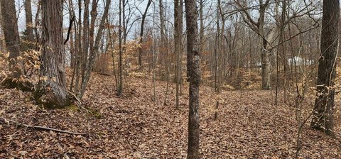 Buildable Lake Lot in Camden