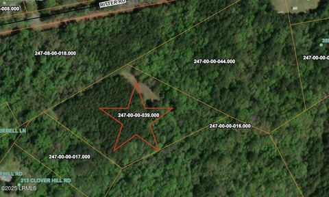 Vacant Land in Walterboro, SC