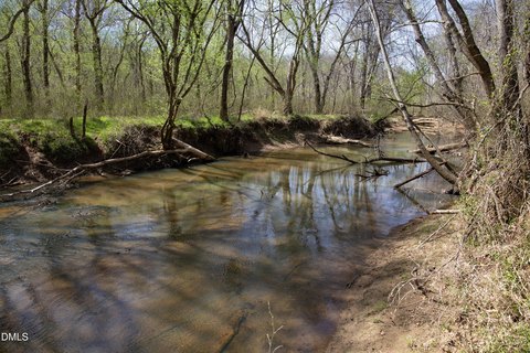Hunting Land with Creek Views
