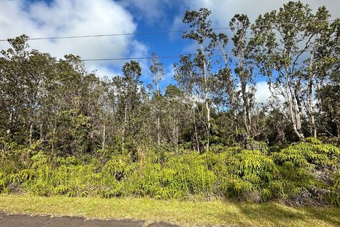 Vacant Land in Volcano, Hawaii