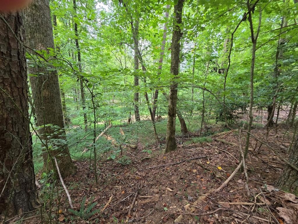 Picture 24