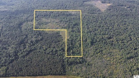 Hardwood Timber Hunting Tract