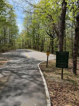 Build-Ready Mountain Home Lot