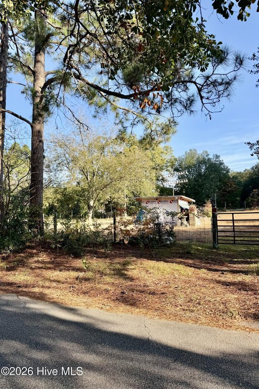 Picture 2