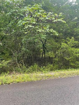 Buildable Lot in Gated Community
