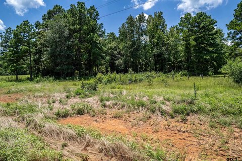 Land, Winona, TX