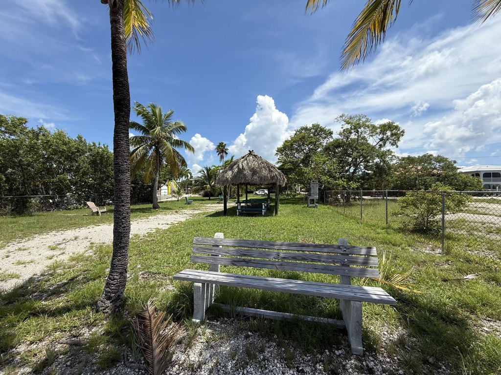 Picture 27