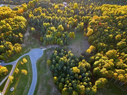 Vacant Lot/Land, Fife Lake, MI