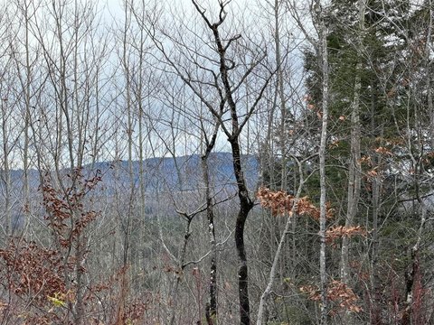 Wilderness Land with Trail Network