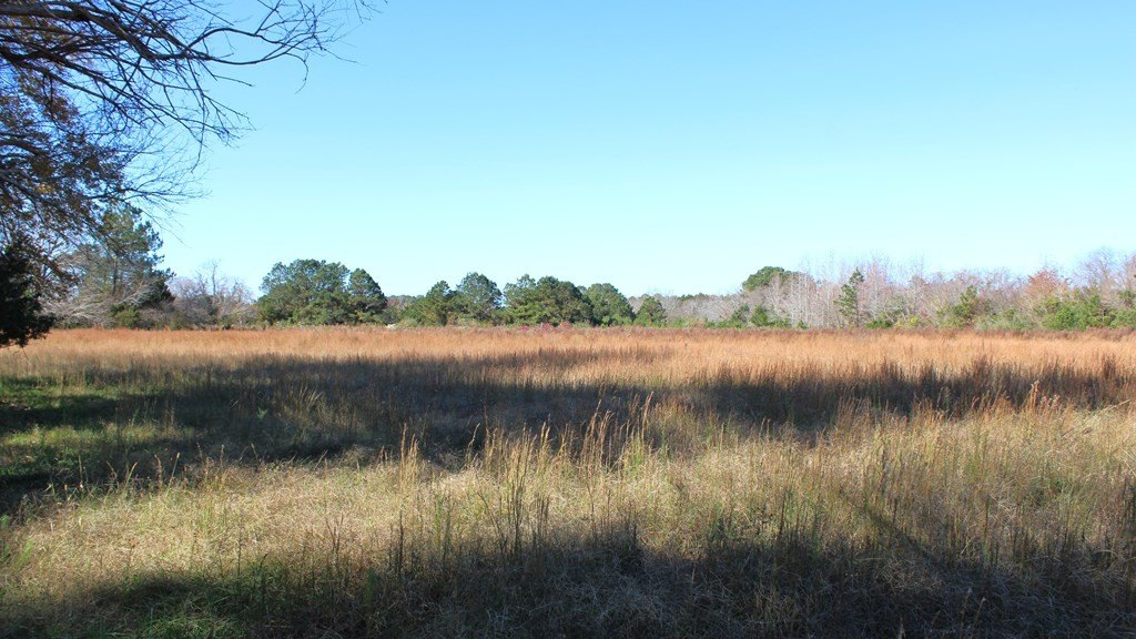 Picture 18