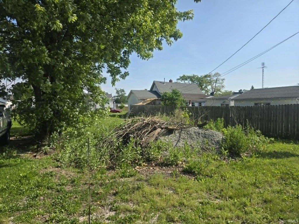 Picture 6