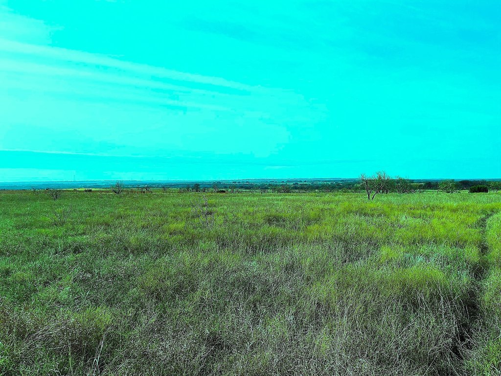 Picture 4