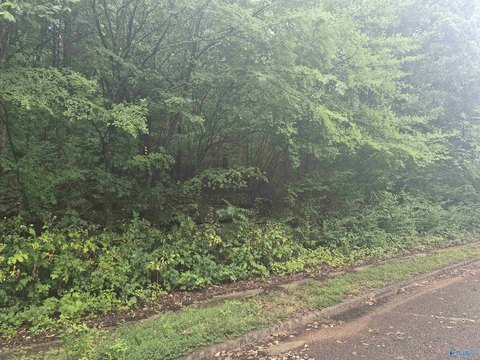 Land, Huntsville, AL