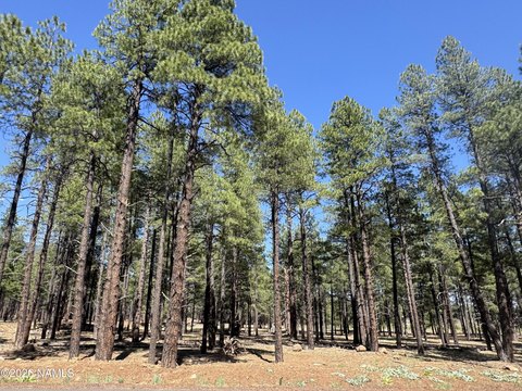 LAND - Flagstaff, AZ