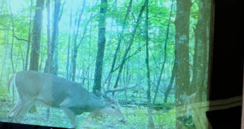 Picture 38