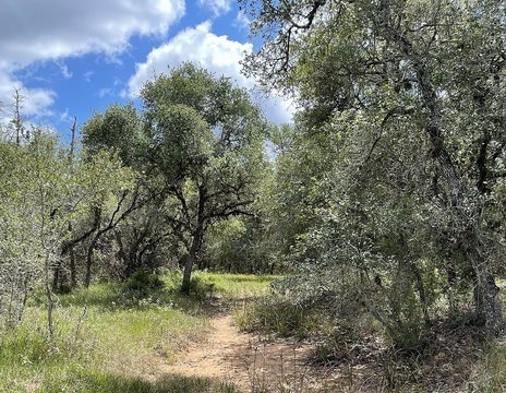 Ranch Land with Pond and Creek