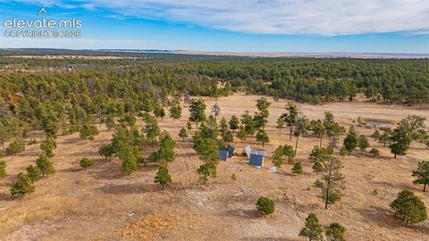 Colorado Springs 5-Acre Wooded Parcel