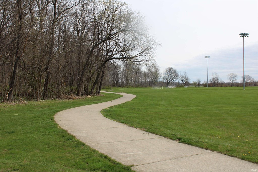 Picture 7