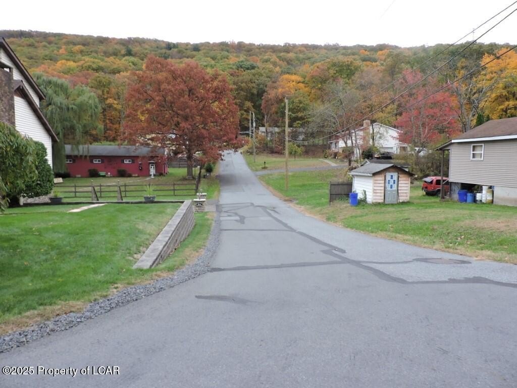 Picture 6