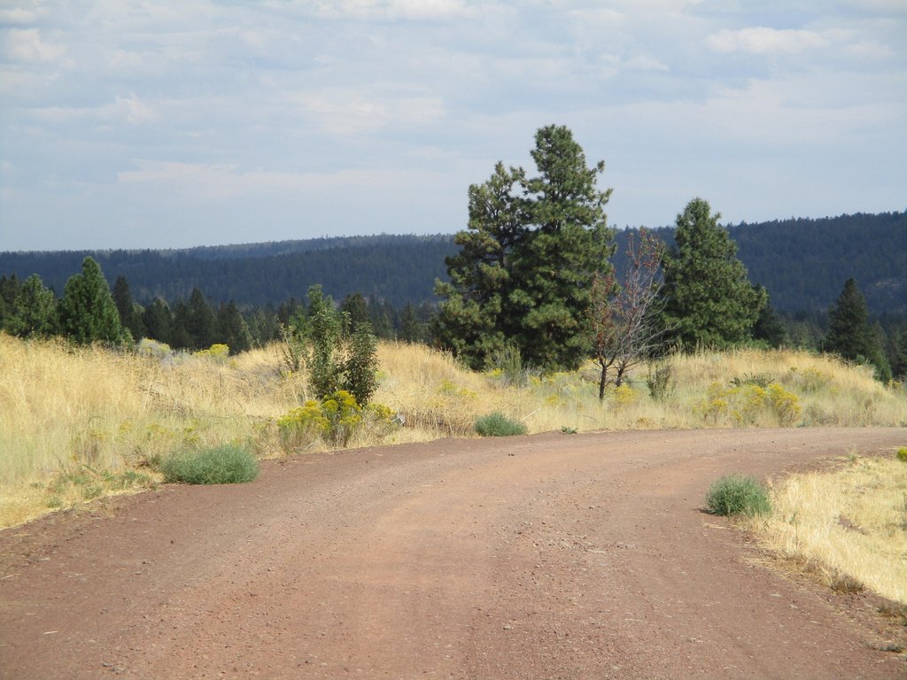 Picture 5