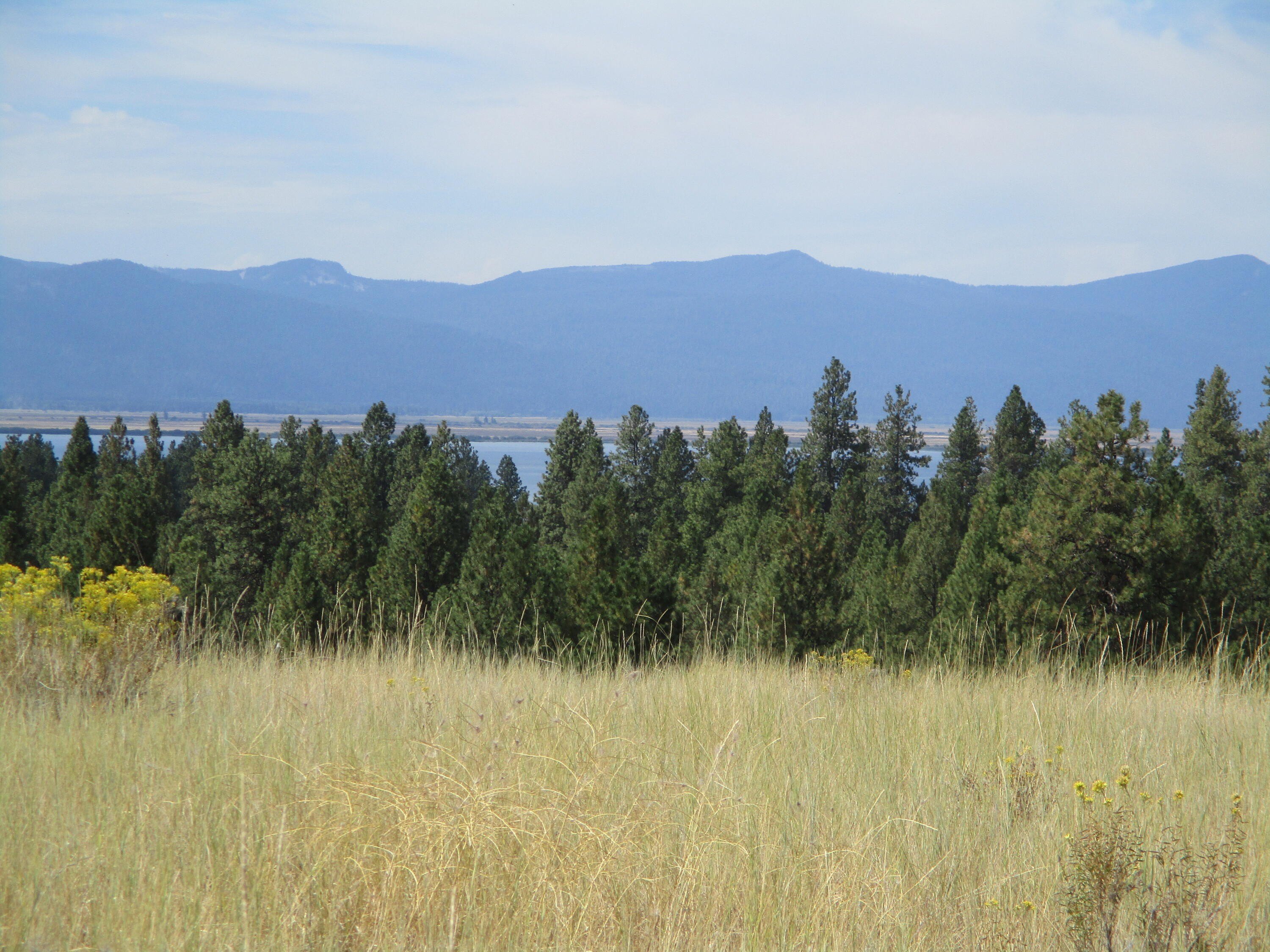 Residential Lot with Lake Views