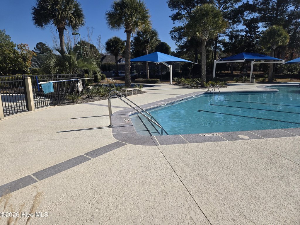 Picture 21