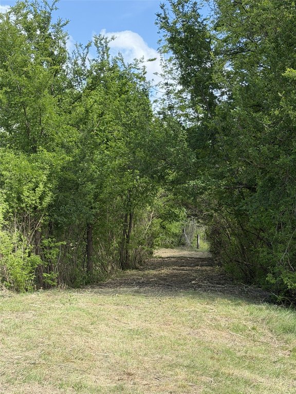 Picture 7