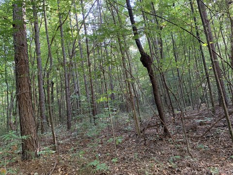 Toccoa, GA Land For Sale