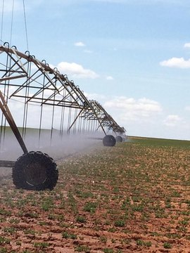 Certified Organic Farmland with Irrigation