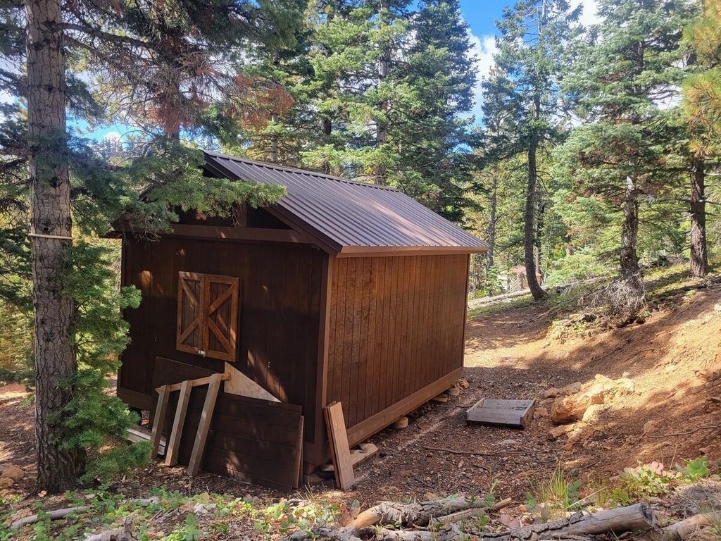 Picture 8