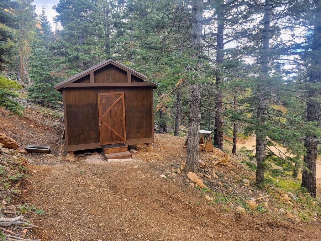 Picture 7
