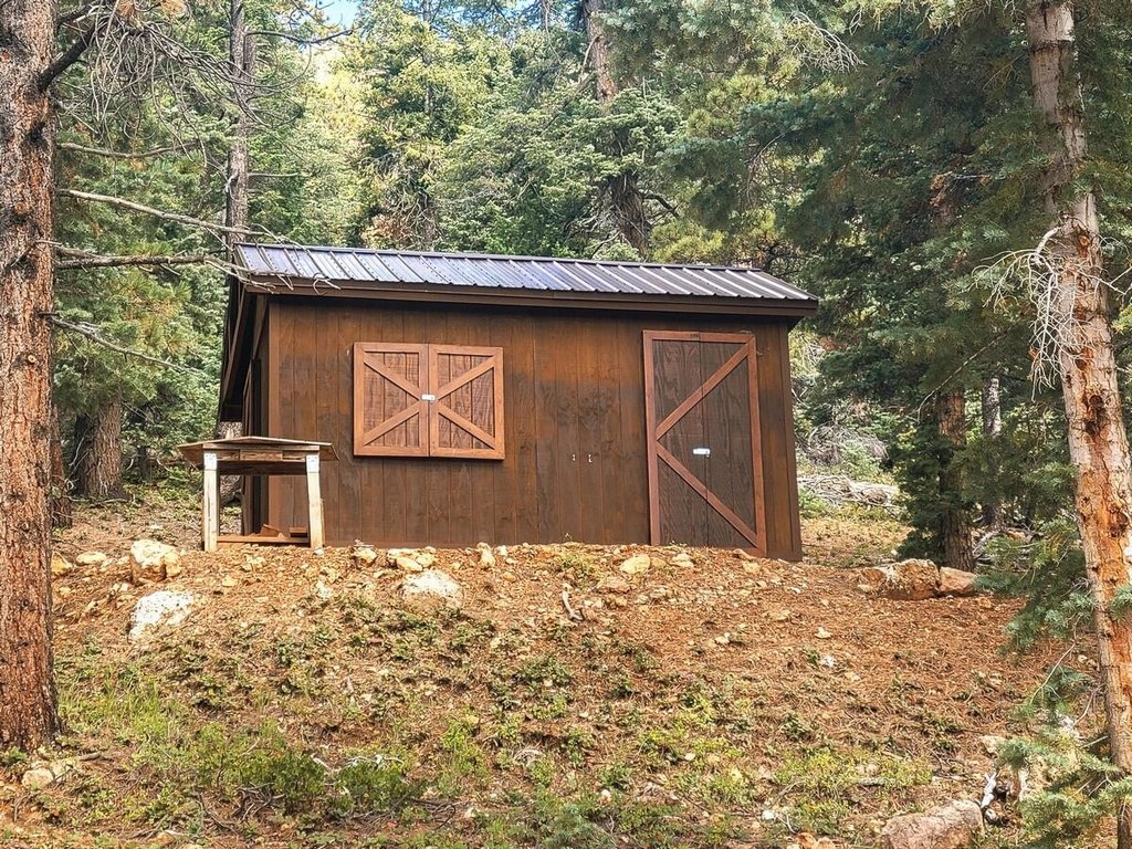 Picture 6