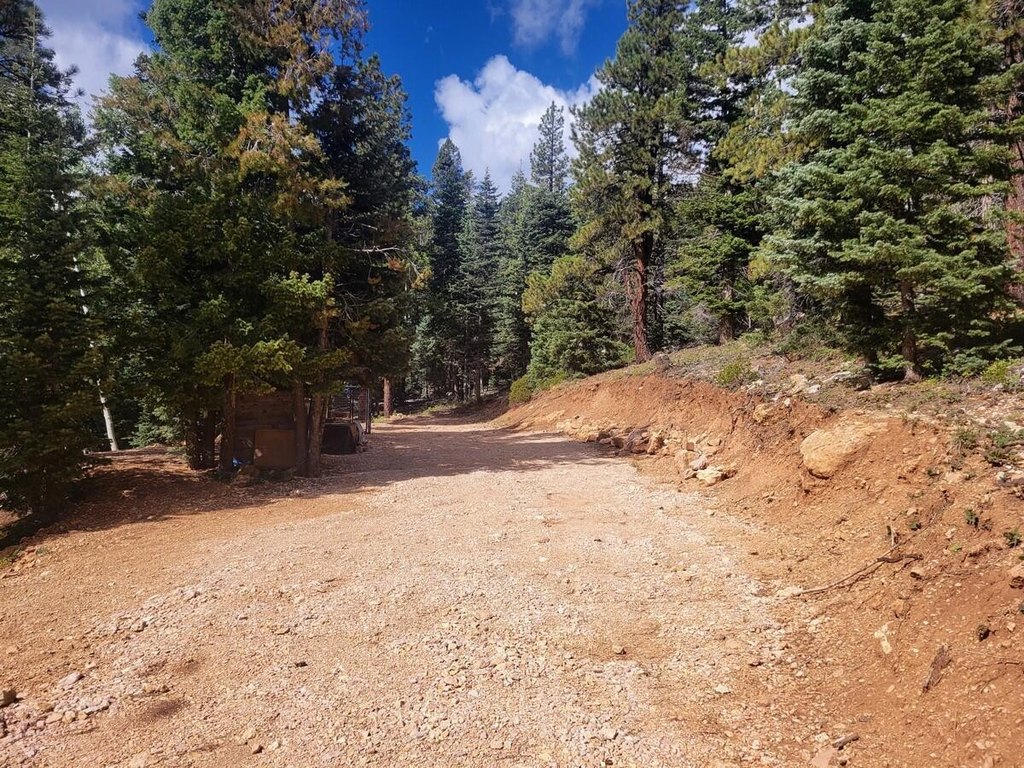 Picture 12
