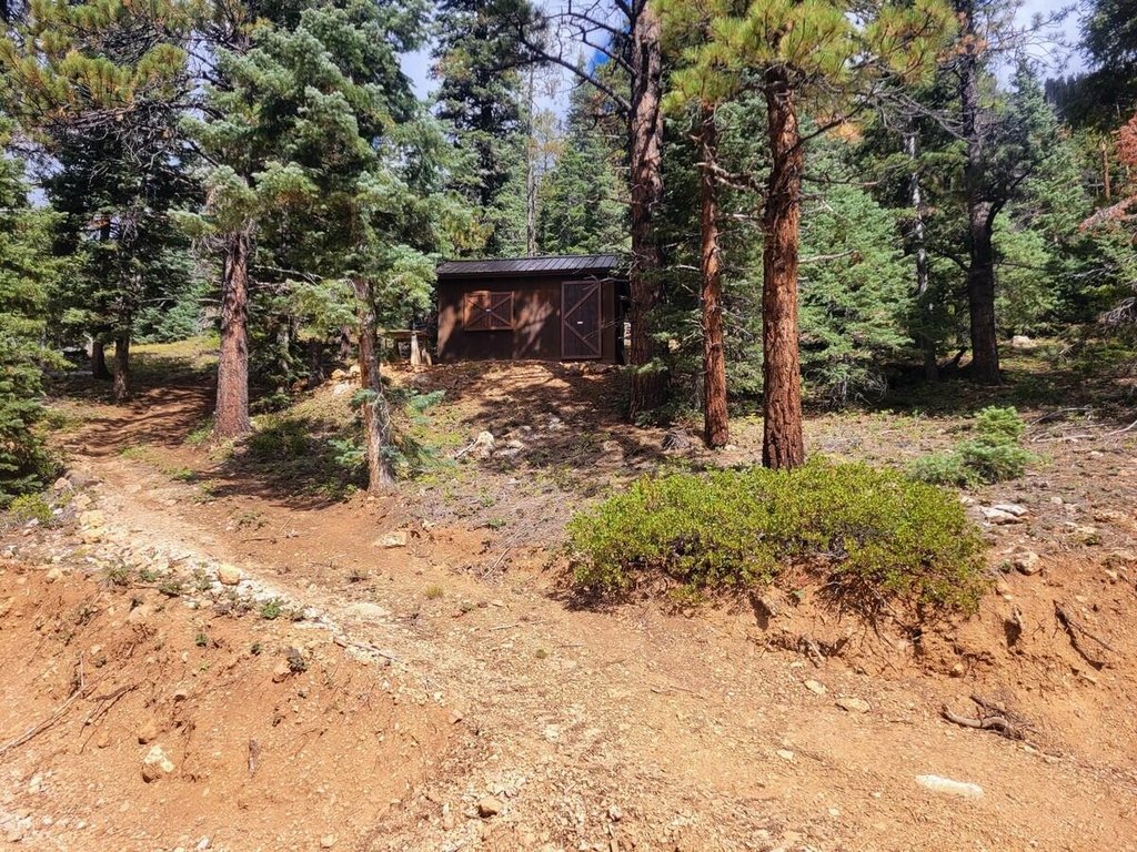 Picture 2