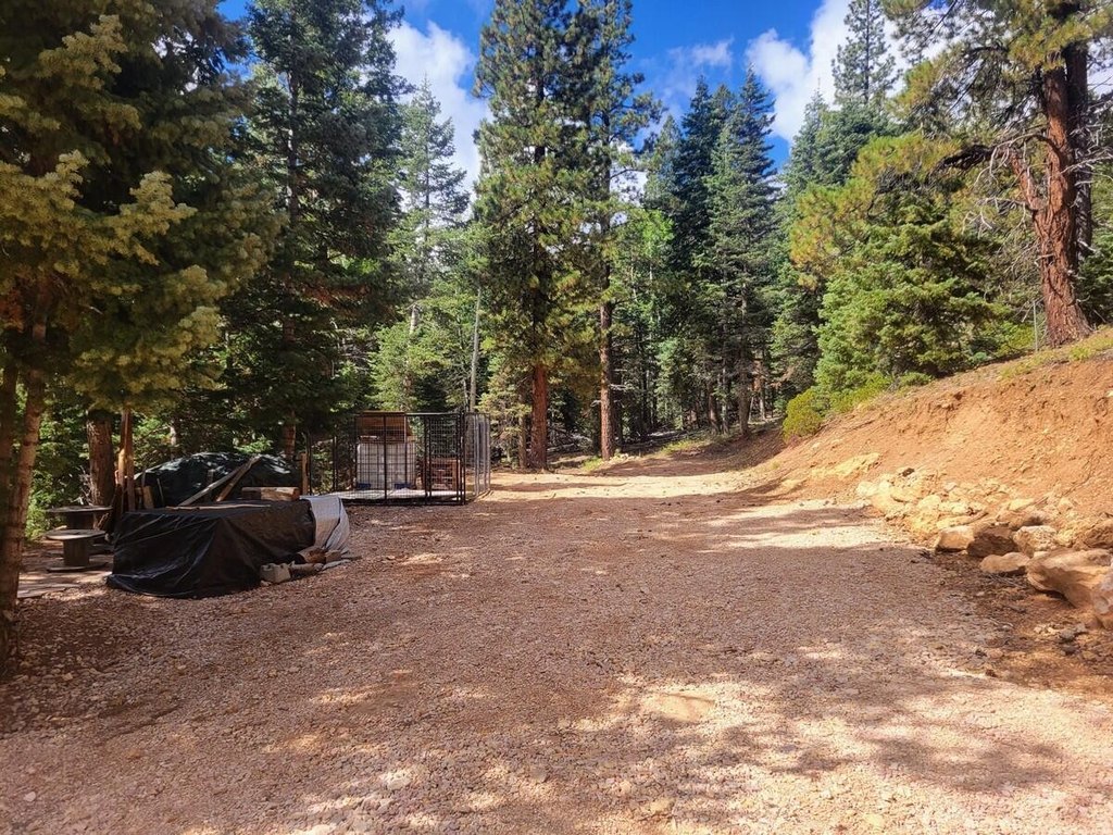 Picture 3