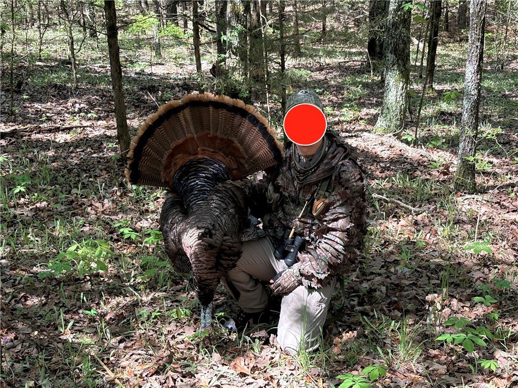 Picture 4