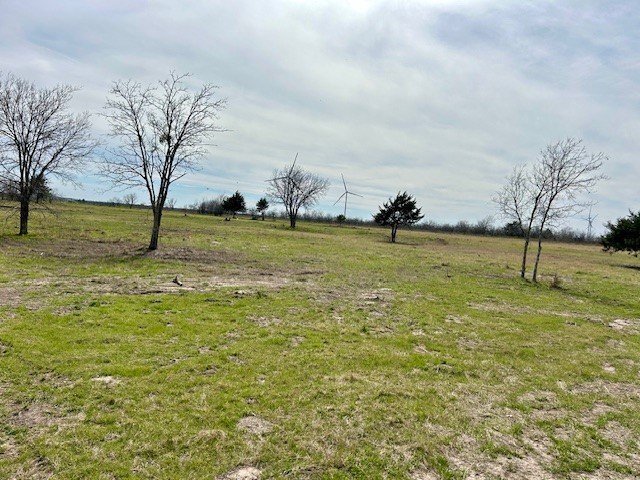 Picture 5