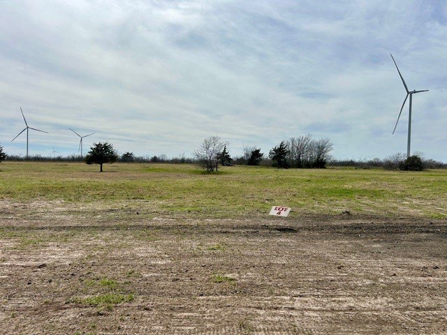 Picture 6