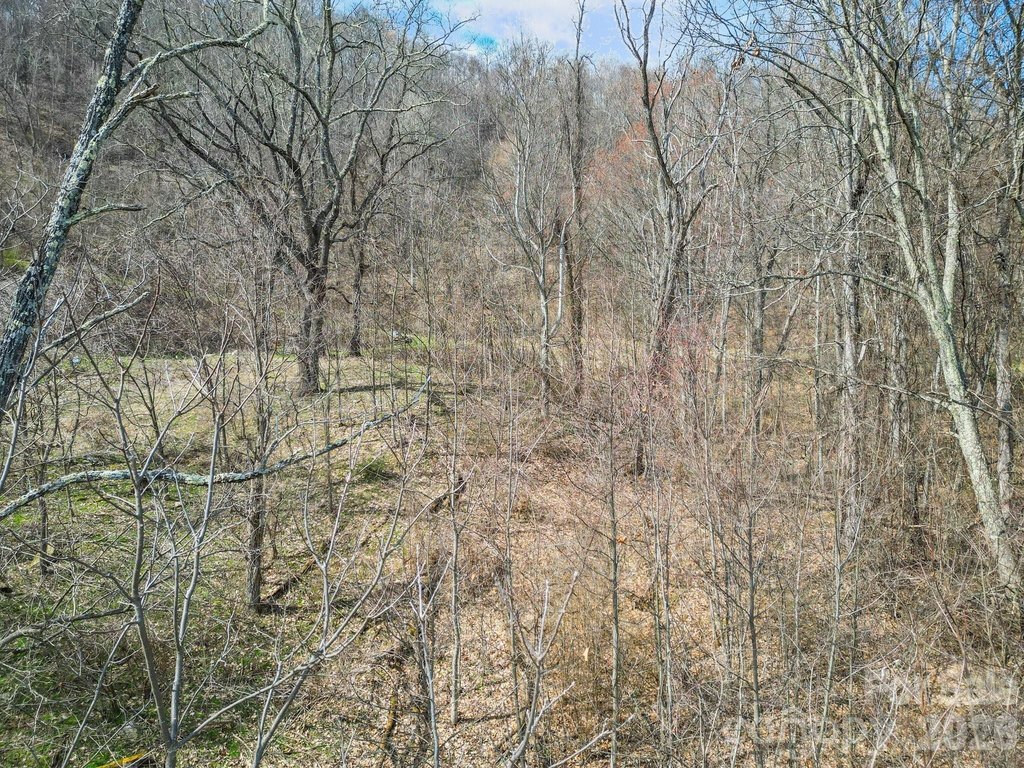 Picture 24