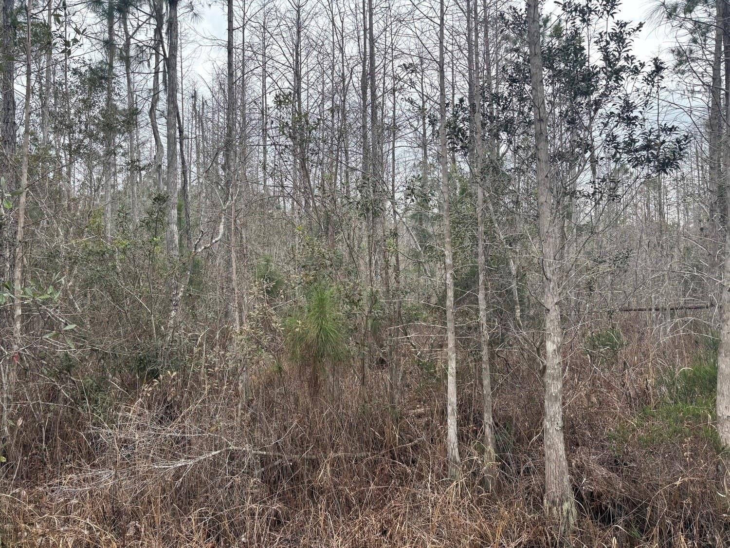 Polk City Acreage for Recreation