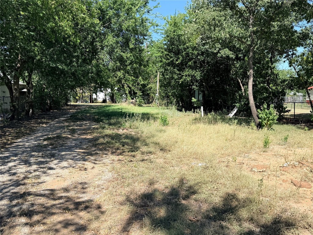 Picture 6