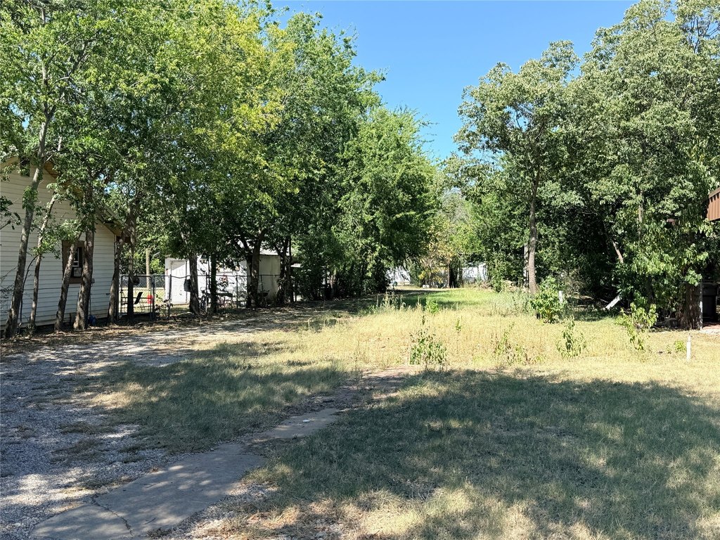 Picture 16