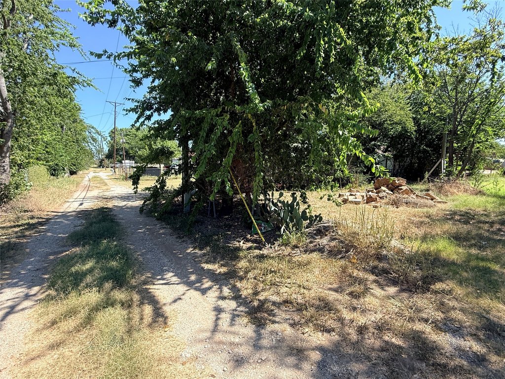 Picture 11
