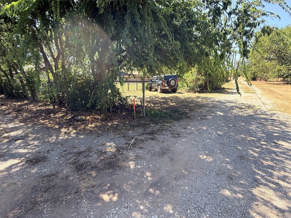 Picture 12