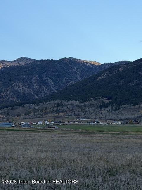 Picture 4