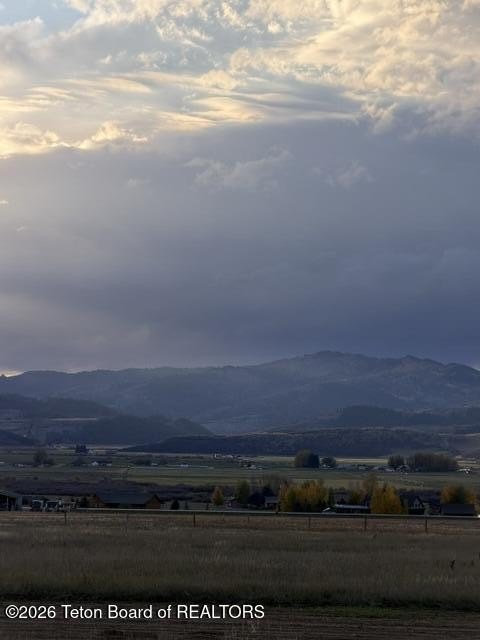 Picture 8