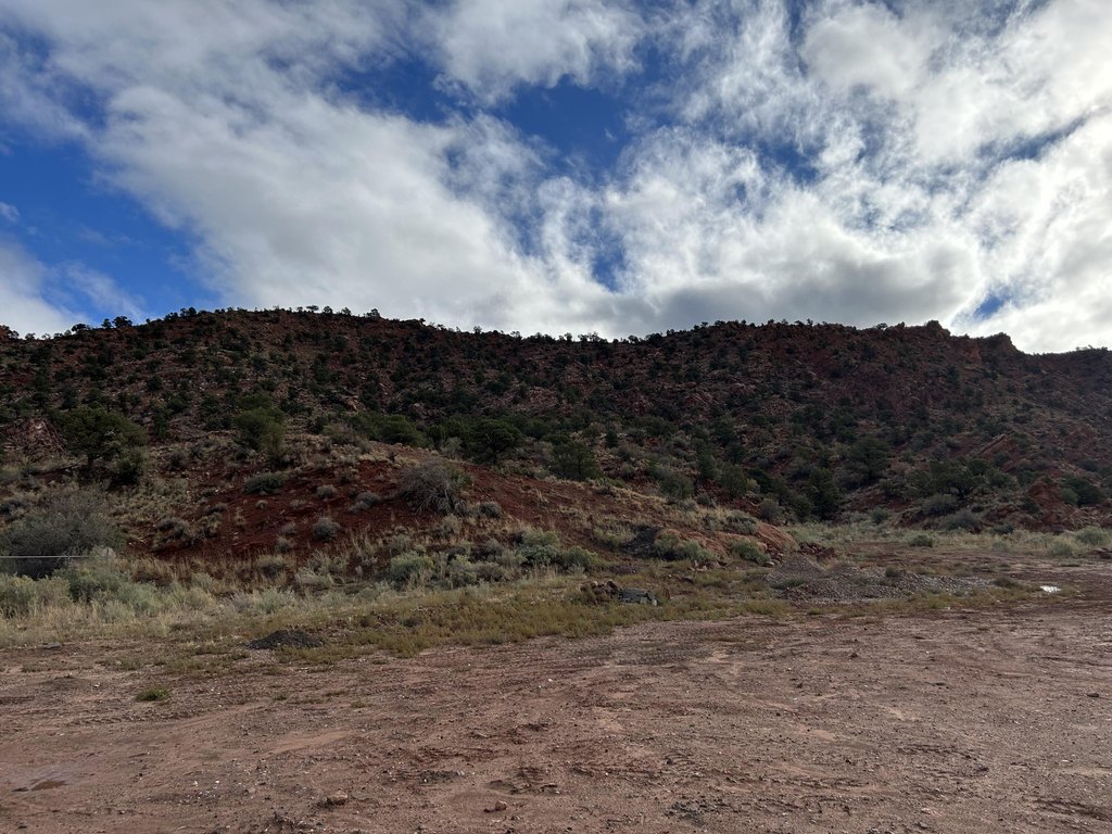 Picture 20